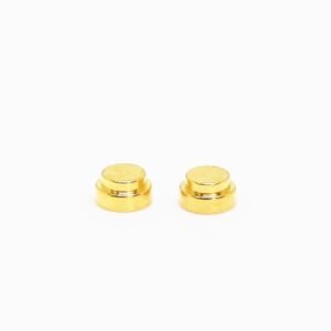 Pogo Pin Zh S0598