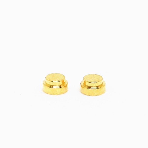 Pogo Pin Zh S0598
